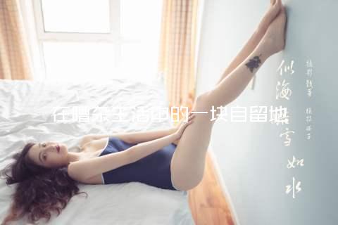 在嘈杂生活中的一块自留地